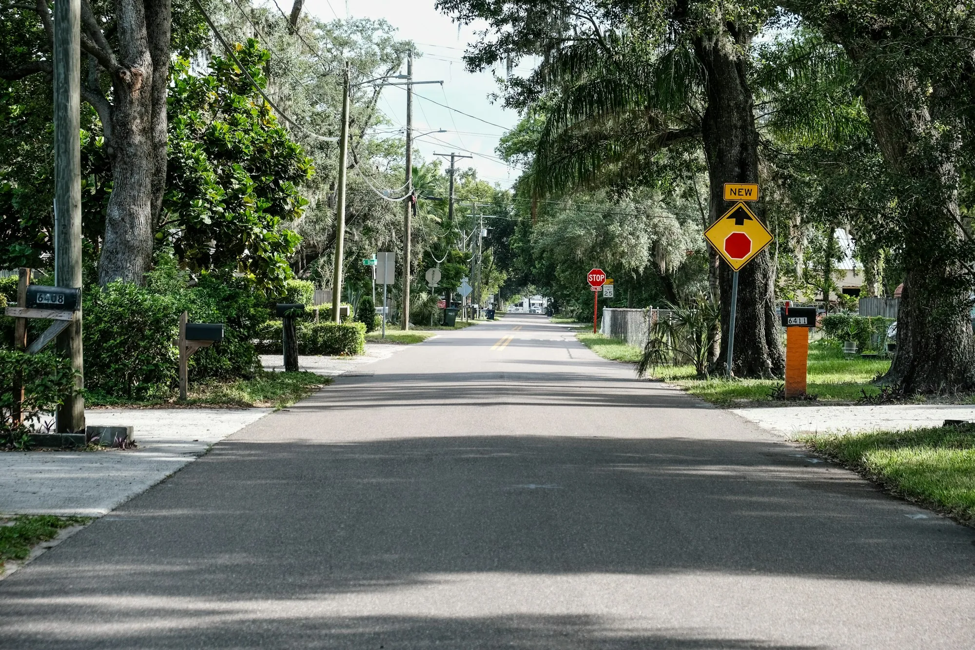 Quiet tree-lined residential street