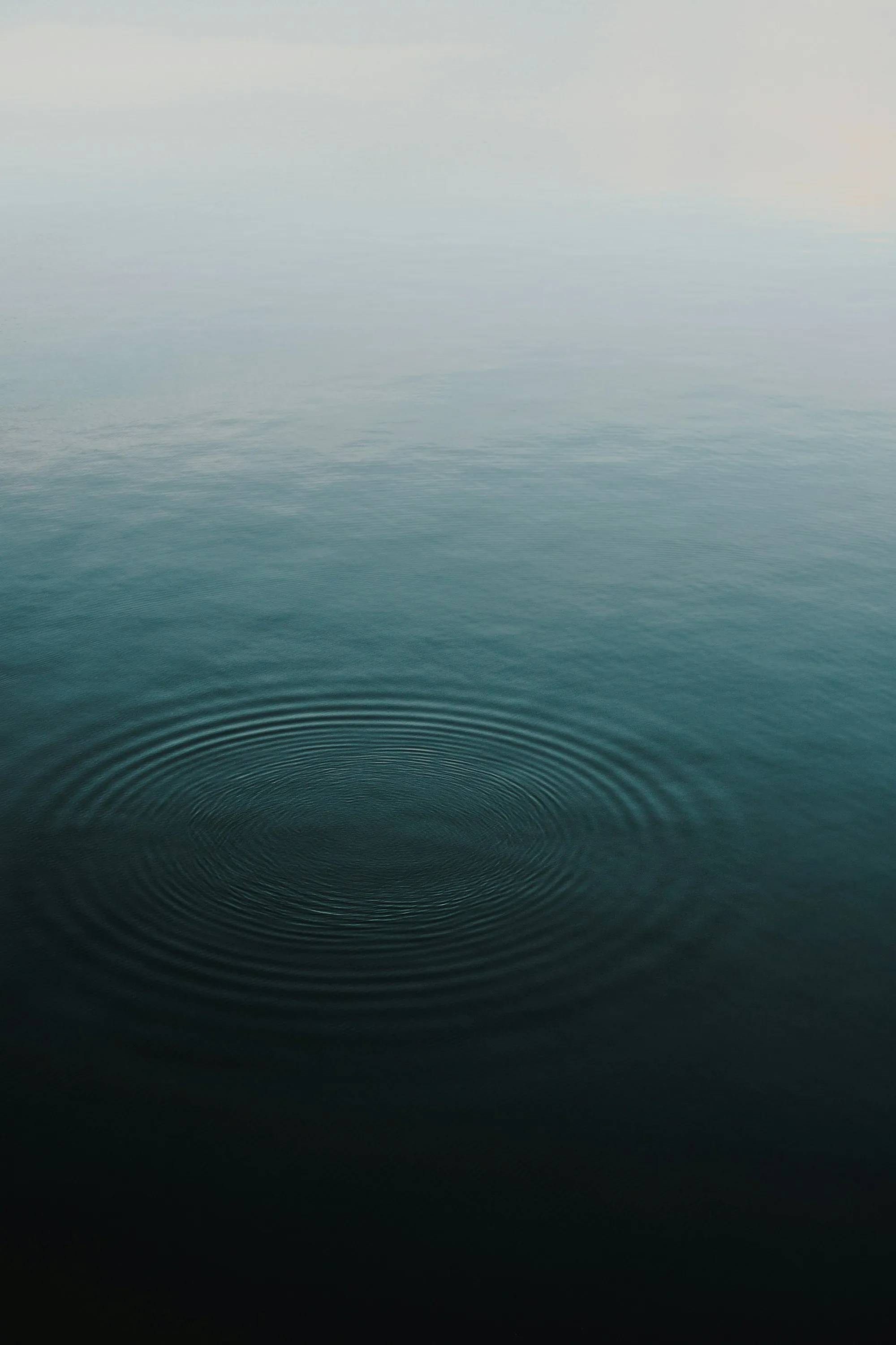 Ripples spreading across calm dark water