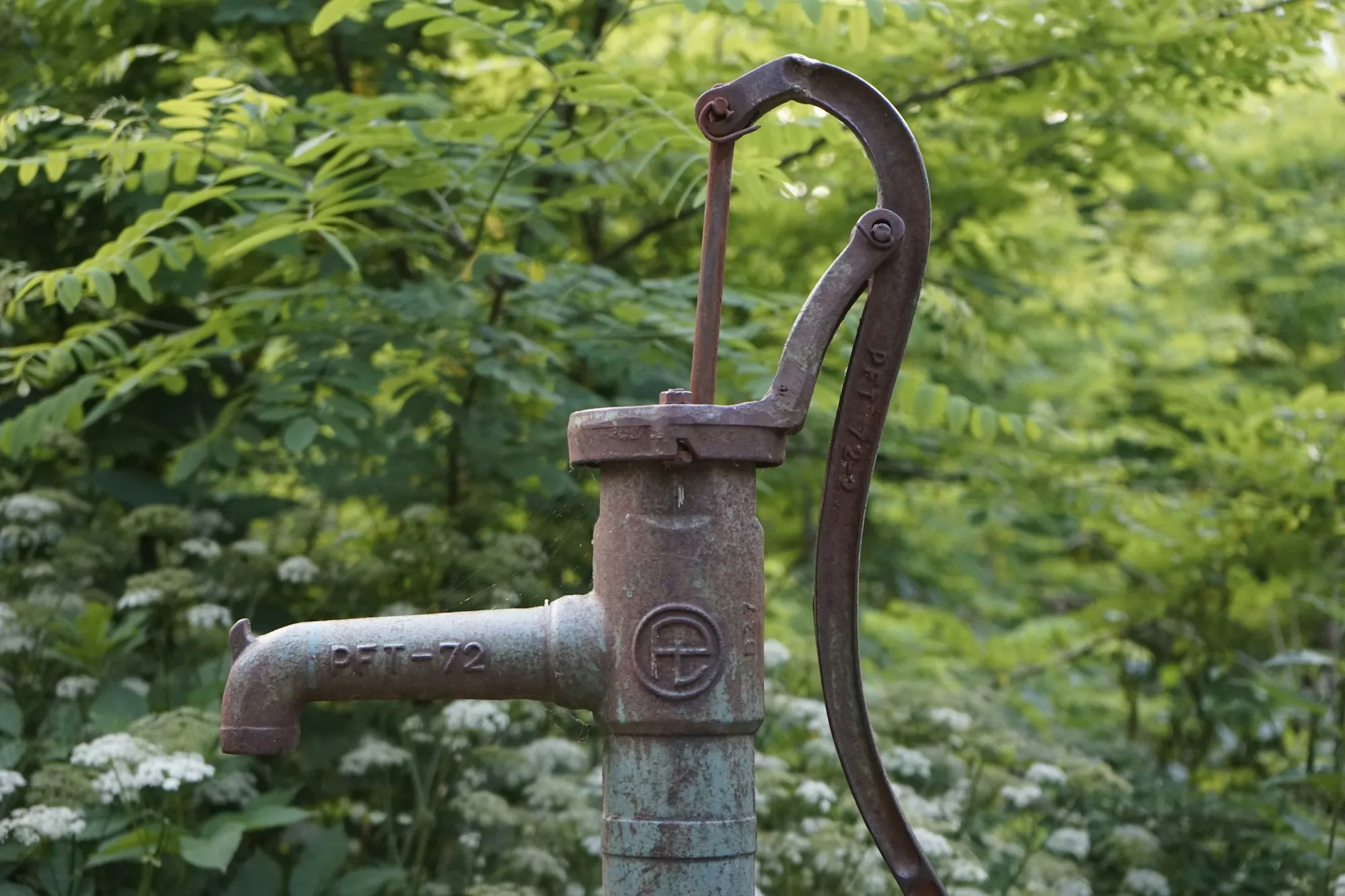 Old cast-iron hand pump surrounded by greenery